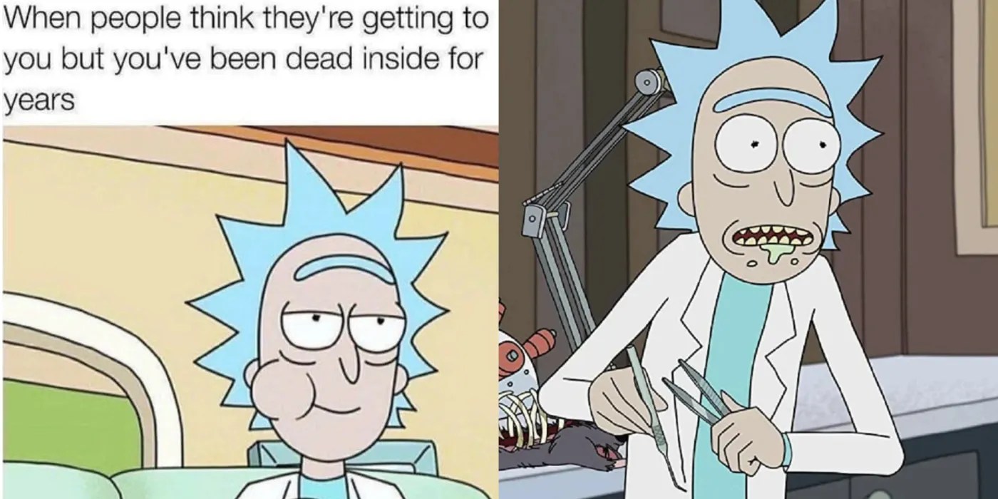 Rick & Morty 10 Memes That Perfectly Sum Up Rick