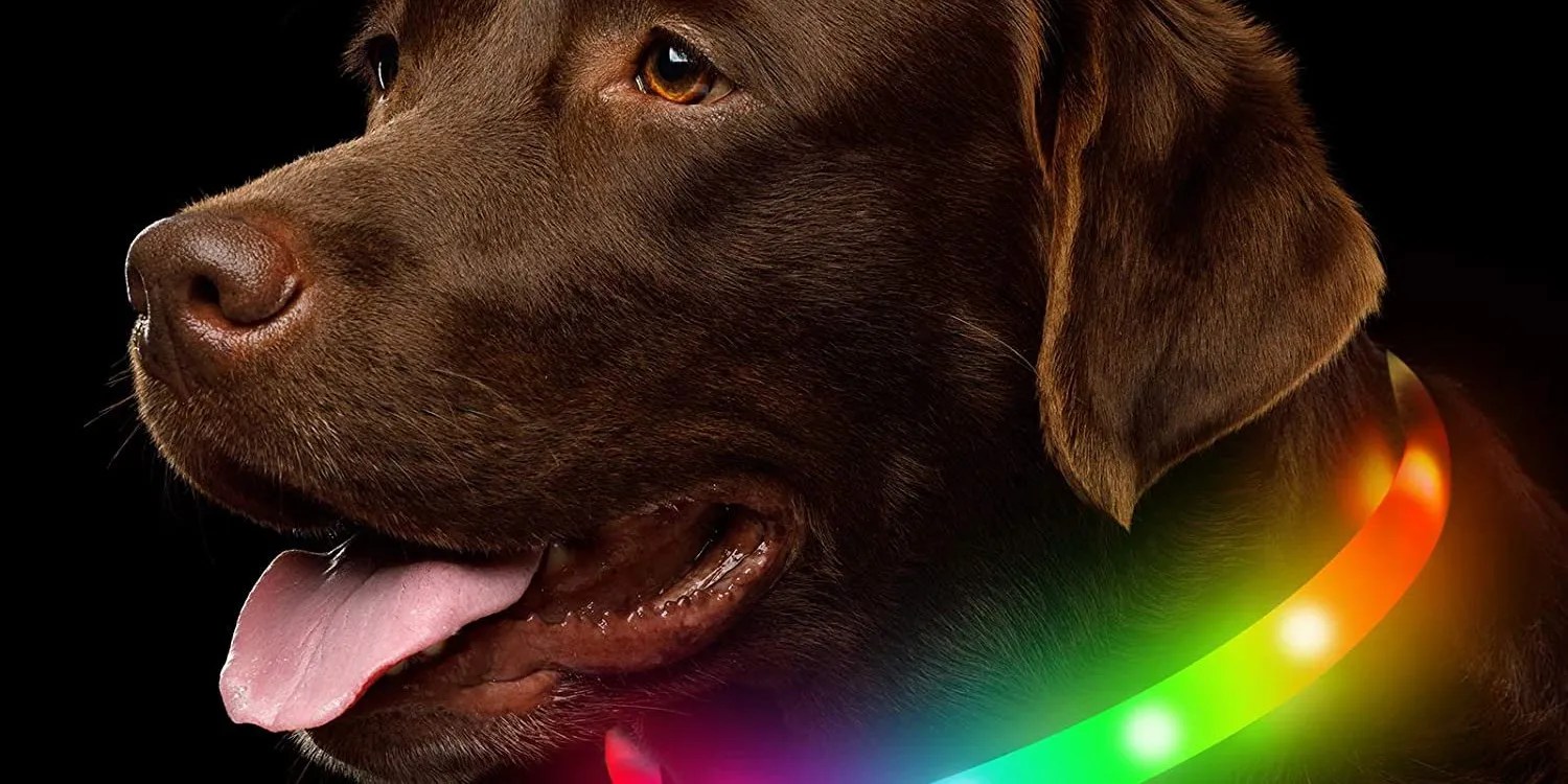 10 Tech Gadgets You Can Attach To Your Pets To Keep Them Safer