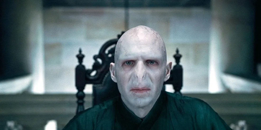Harry Potter 10 Quotes That Perfectly Sum Up Harry And Voldemort's Rivalry