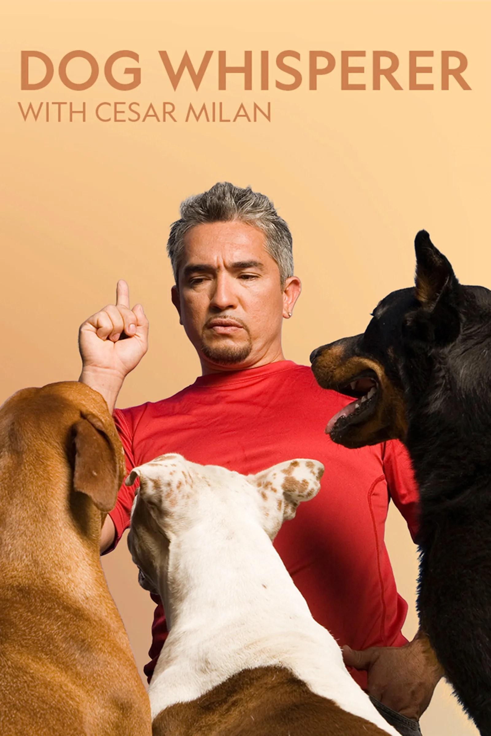 Dog Whisperer With Cesar Milan (2004) ScreenRant