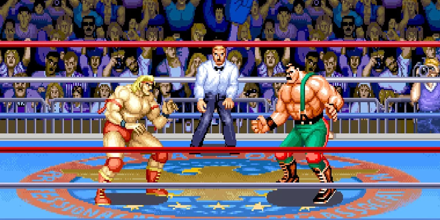 10 Great Wrestling Video Games You Existed