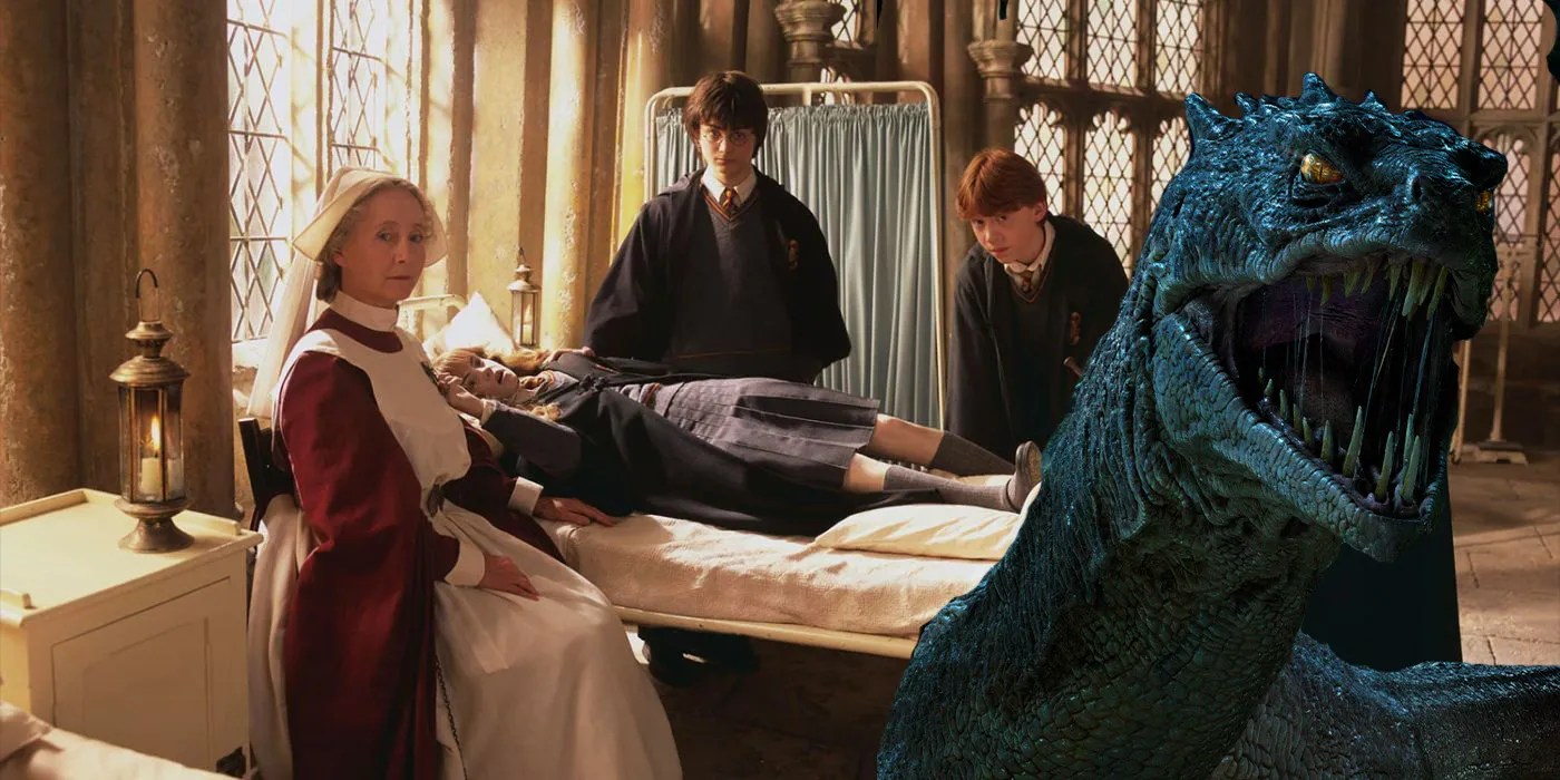 Harry Potter Every Hogwarts Student Who Had Been Petrified In Chamber