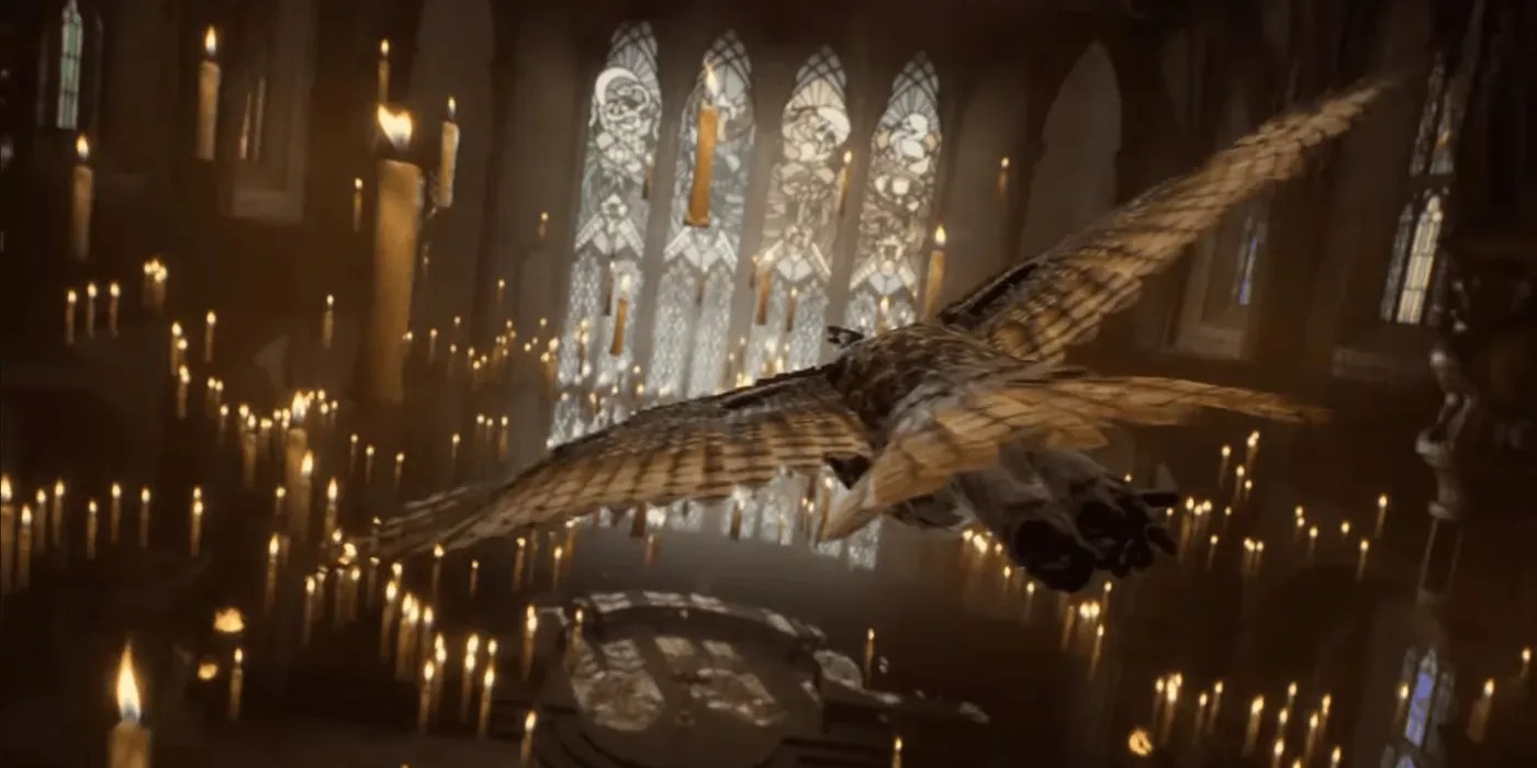 I Want To Play As An Owl In Hogwarts Legacy