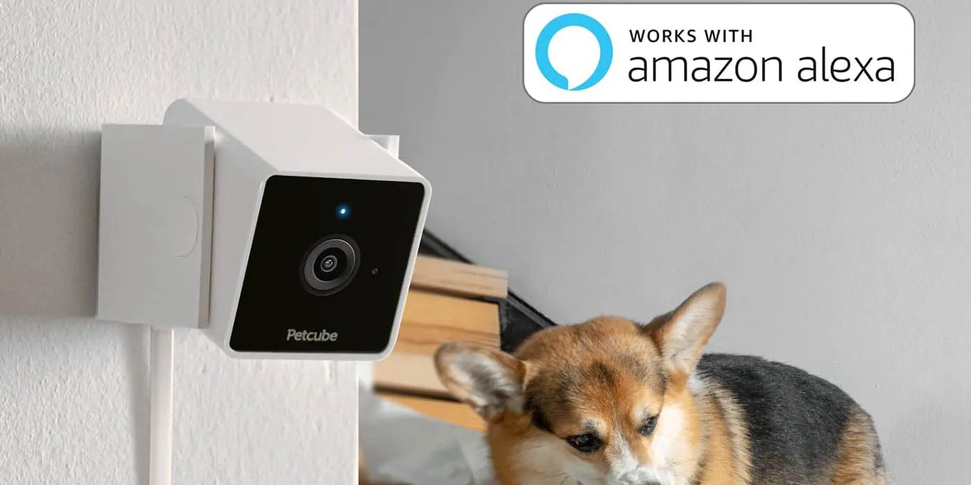 The 12 Best Pet Tech Gifts In 2023