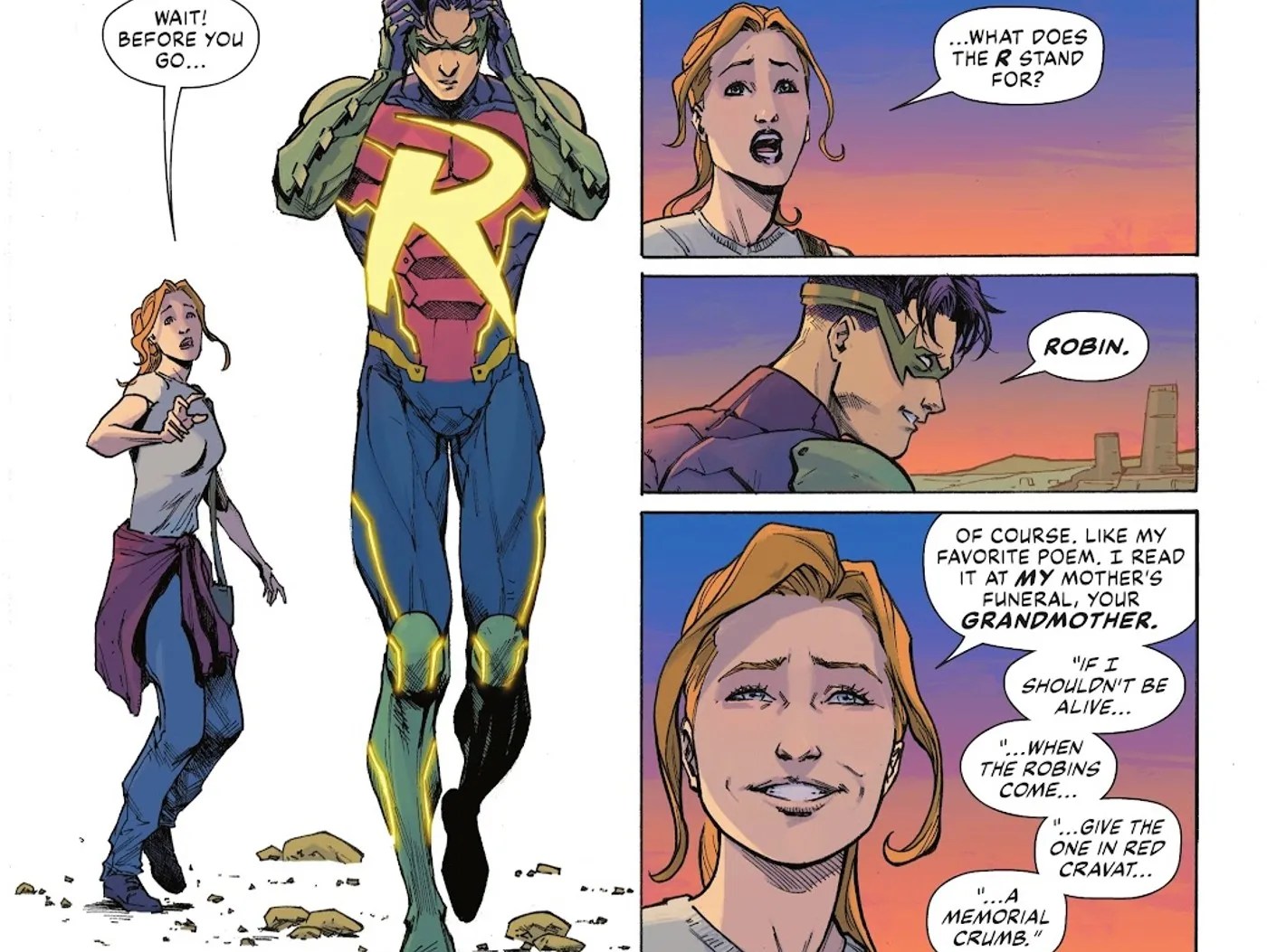 DC Gives the Robin Codename an New Meaning(06)