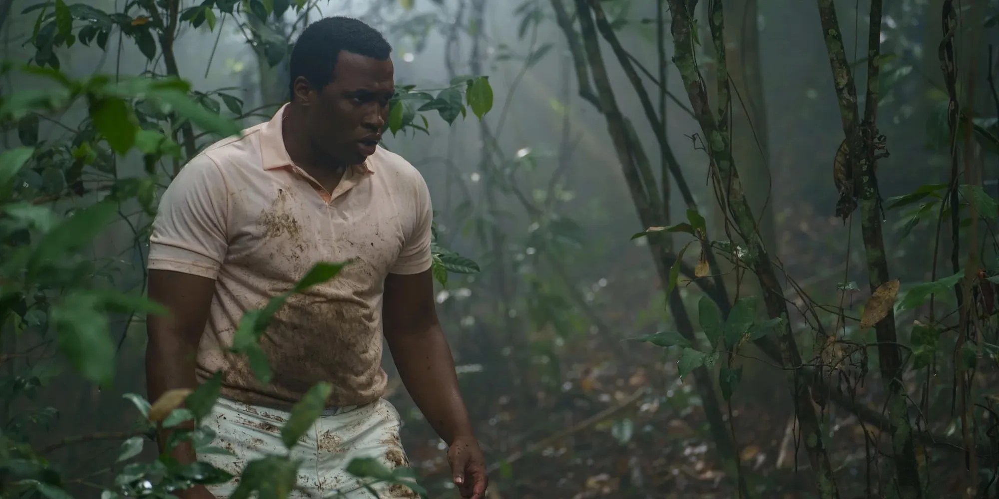 Unveiling the RealLife Inspiration Behind the Saint X Hulu Show(07)