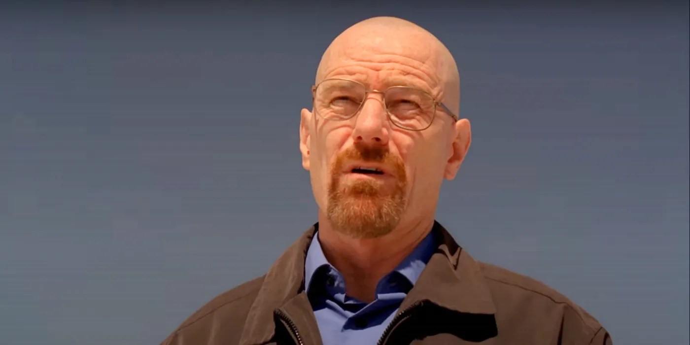 Breaking Bad Star Explains Who Walter White Would Be Without Saul Goodman