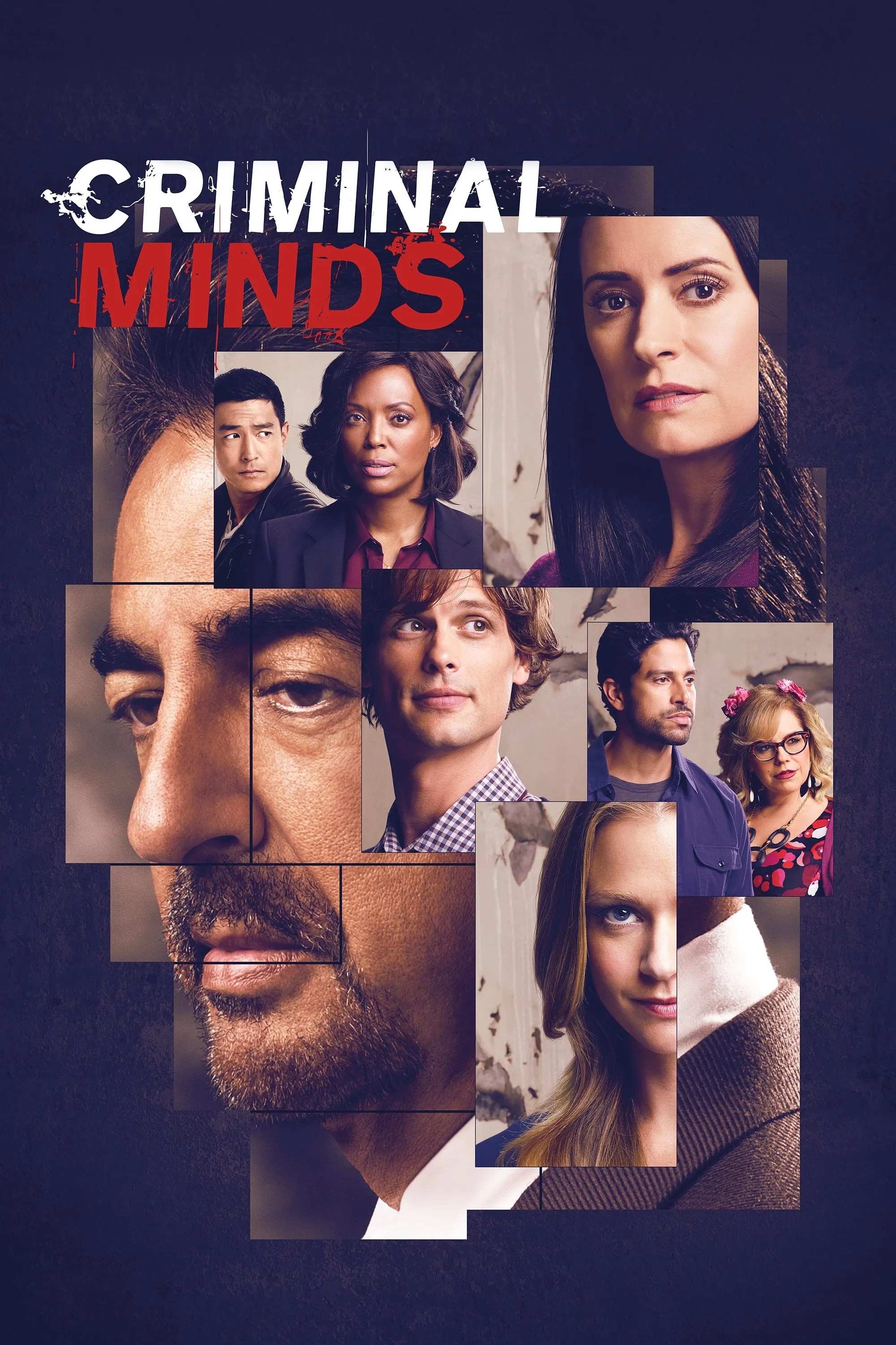 Criminal Minds Summary, Latest News, Trailer, Season List, Cast, Where