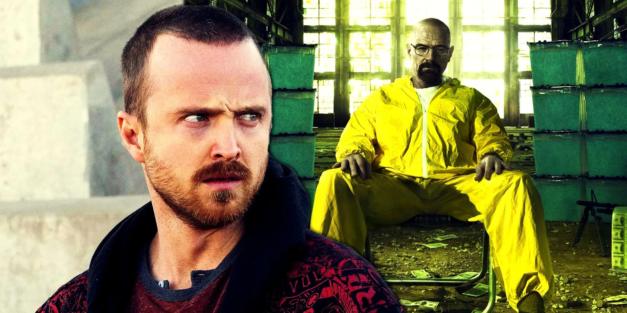 Breaking Bad Who Poisoned Brock at Blanca Wilkerson blog