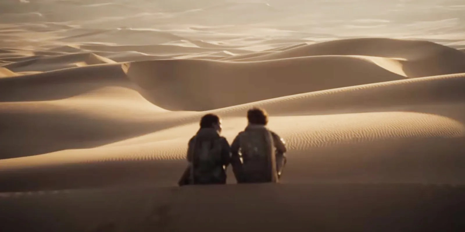 Dune 2’s Release Date Delay Explained Why It Moved & What It Means