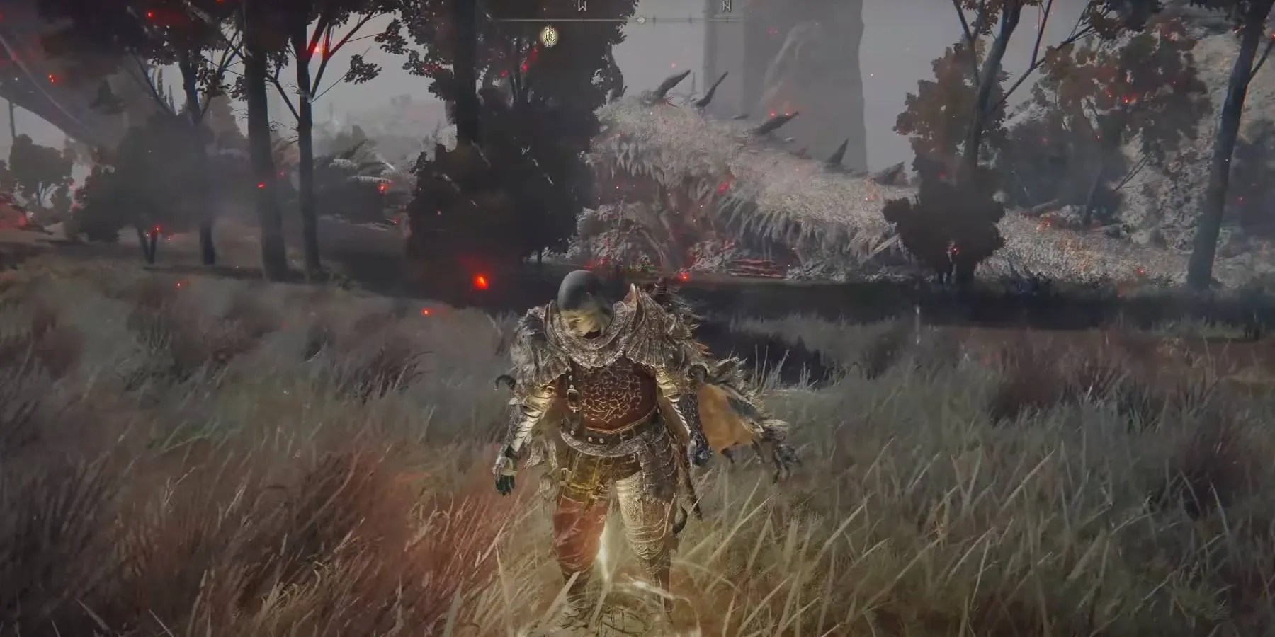 Elden Ring Dragon Exploit Patched at Ruth Lebo blog