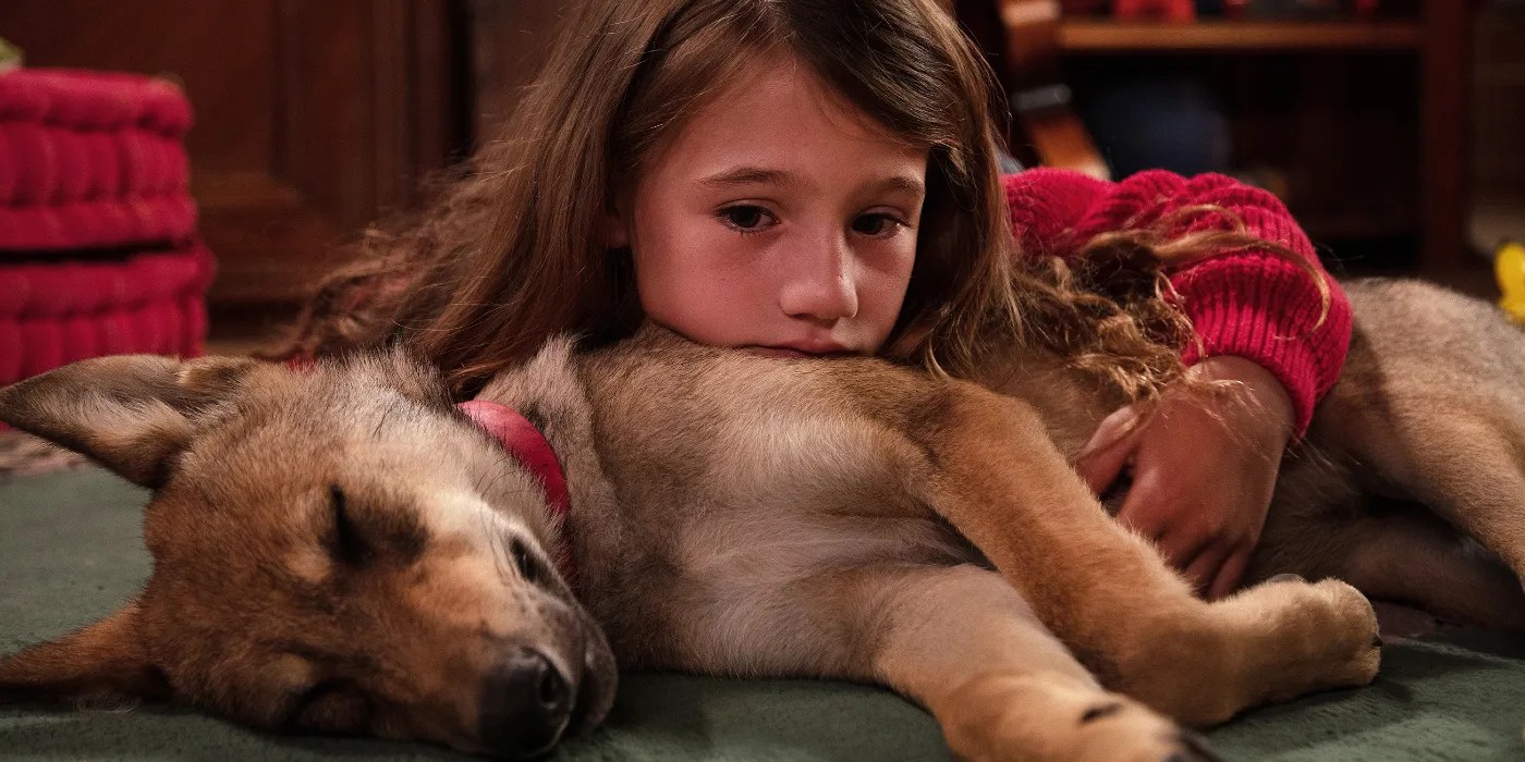 10 Best Dog Movies On Netflix