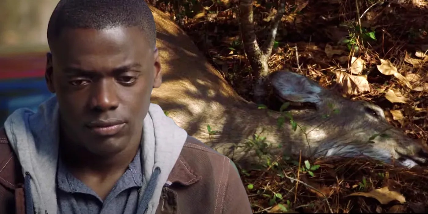 Get Out's Deer Scene Is A Tragic Callback When Remembering Chris