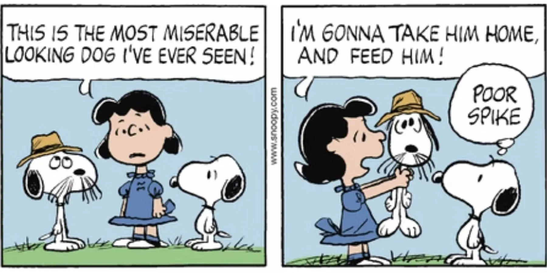 Peanuts Snoopy Had More Siblings in the Comic Strip Than Even Most