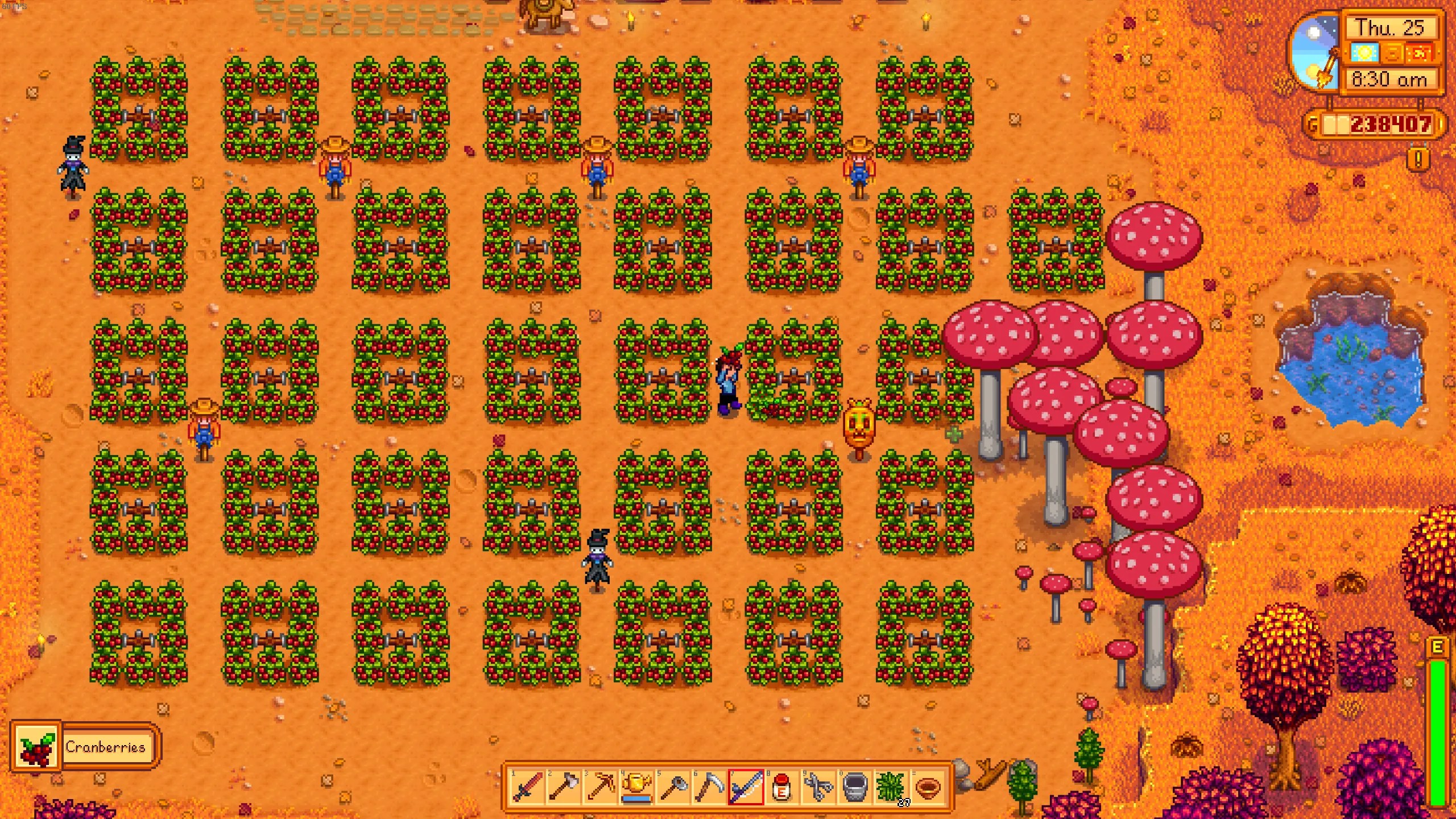Best Fall Crops To Grow In Stardew Valley