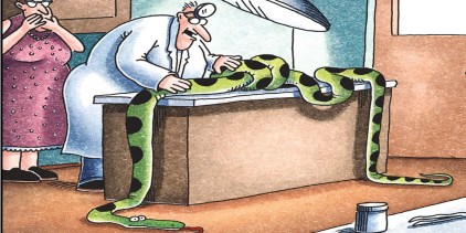 Far Side, Snake at the vet’s office for a check up