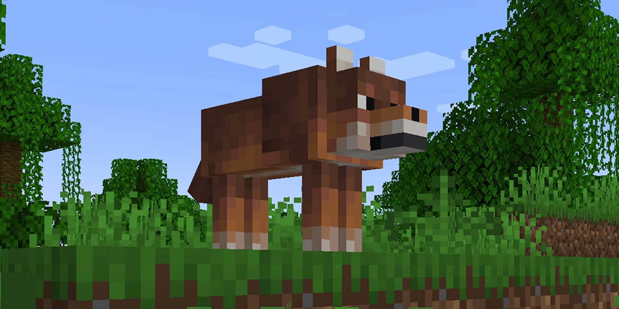 Minecraft All Wolf Variants From Java & Bedrock Editions