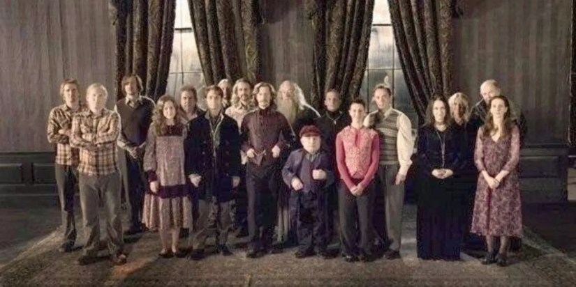 The original Order of the Phoenix lineup including Frank and Alice Longbottom, The Potters, and Sirius in Harry Potter and the Order of the Pheonix