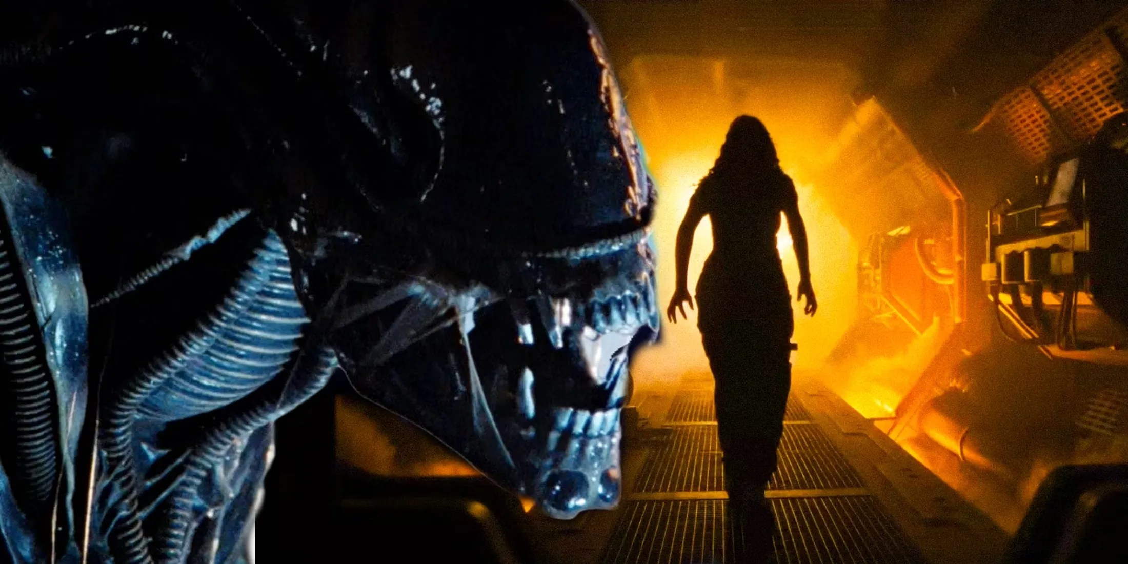 Xenomorphs Movies