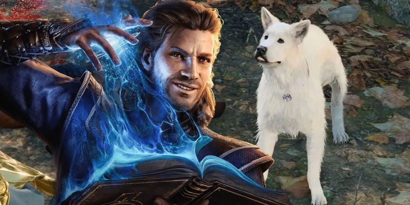 Gale with a spell book using magic alongside Scratch from Baldur’s Gate 3