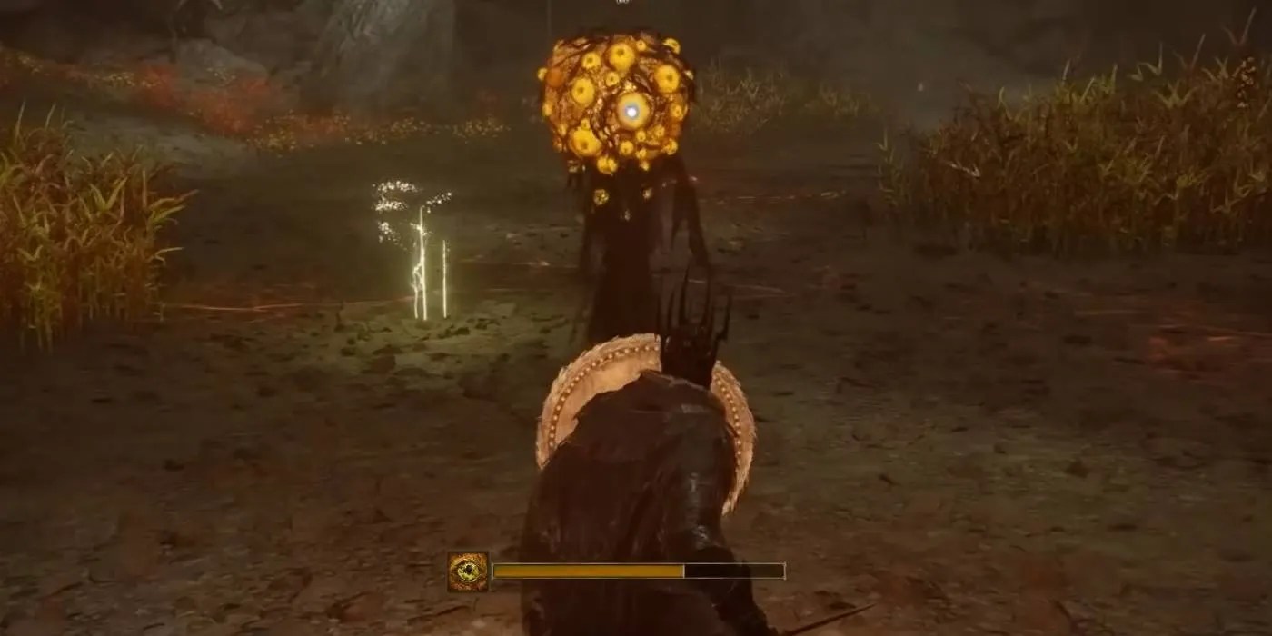 How To Get &amp; Use Swollen Grapes In Elden Ring: Shadow Of The Erdtree