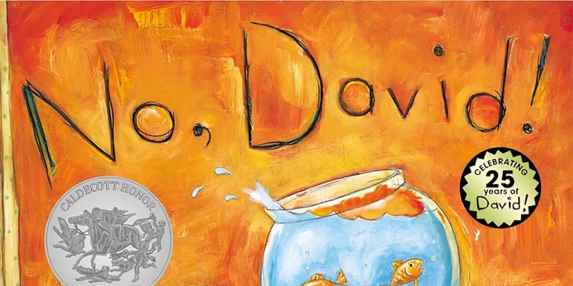 The cover of No, David