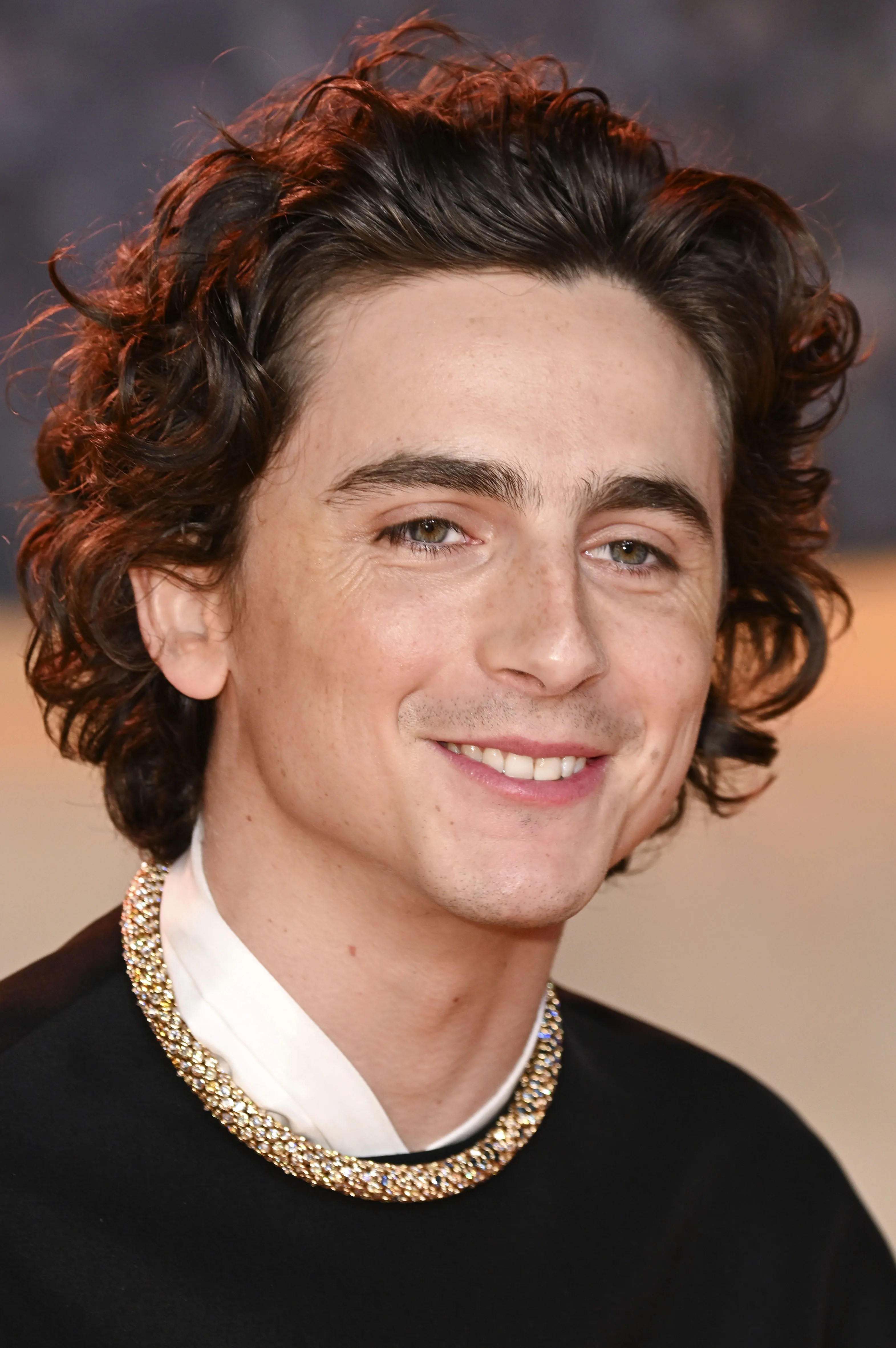 If You Call Yourself A Timothée Chalamet Fan, Then You Saw These 5 Movies Of His, Right?