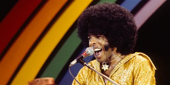 Sly stone net worth