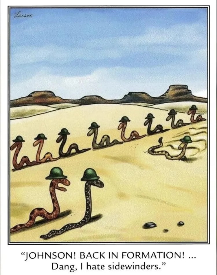 The Far Side strip: Snakes as soldiers in the sand.