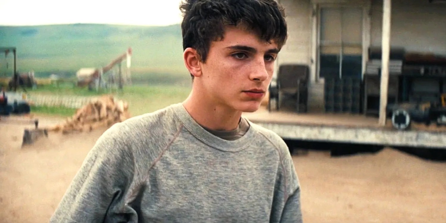 Two Of Timothée Chalamet’s Best Movies From The Past 11 Years Are Now