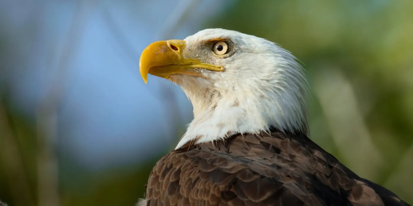 How Alexandra Daddario Felt About Her True Detective Nude Scene