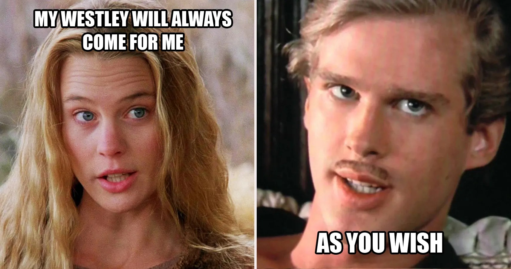 Inappropriate Things You Never Noticed In The Princess Bride