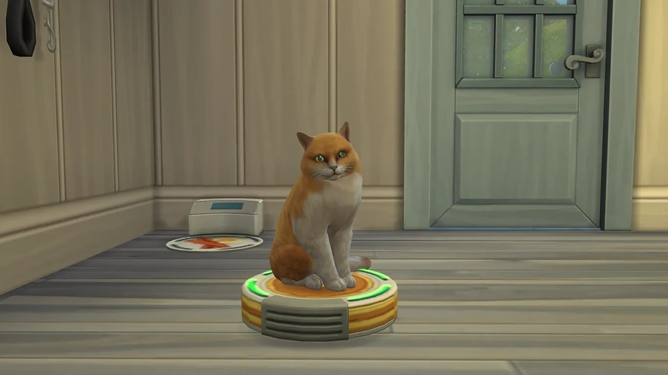 The Sims 25 Awesome Hidden Things Super Fans Still Haven’t Found