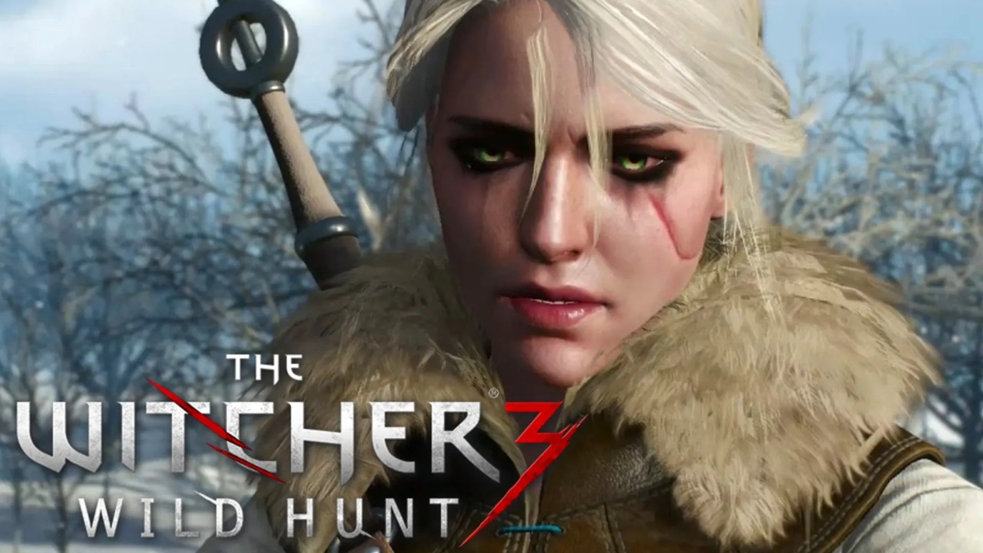 Every Major The Witcher 3 Spoiler Explained