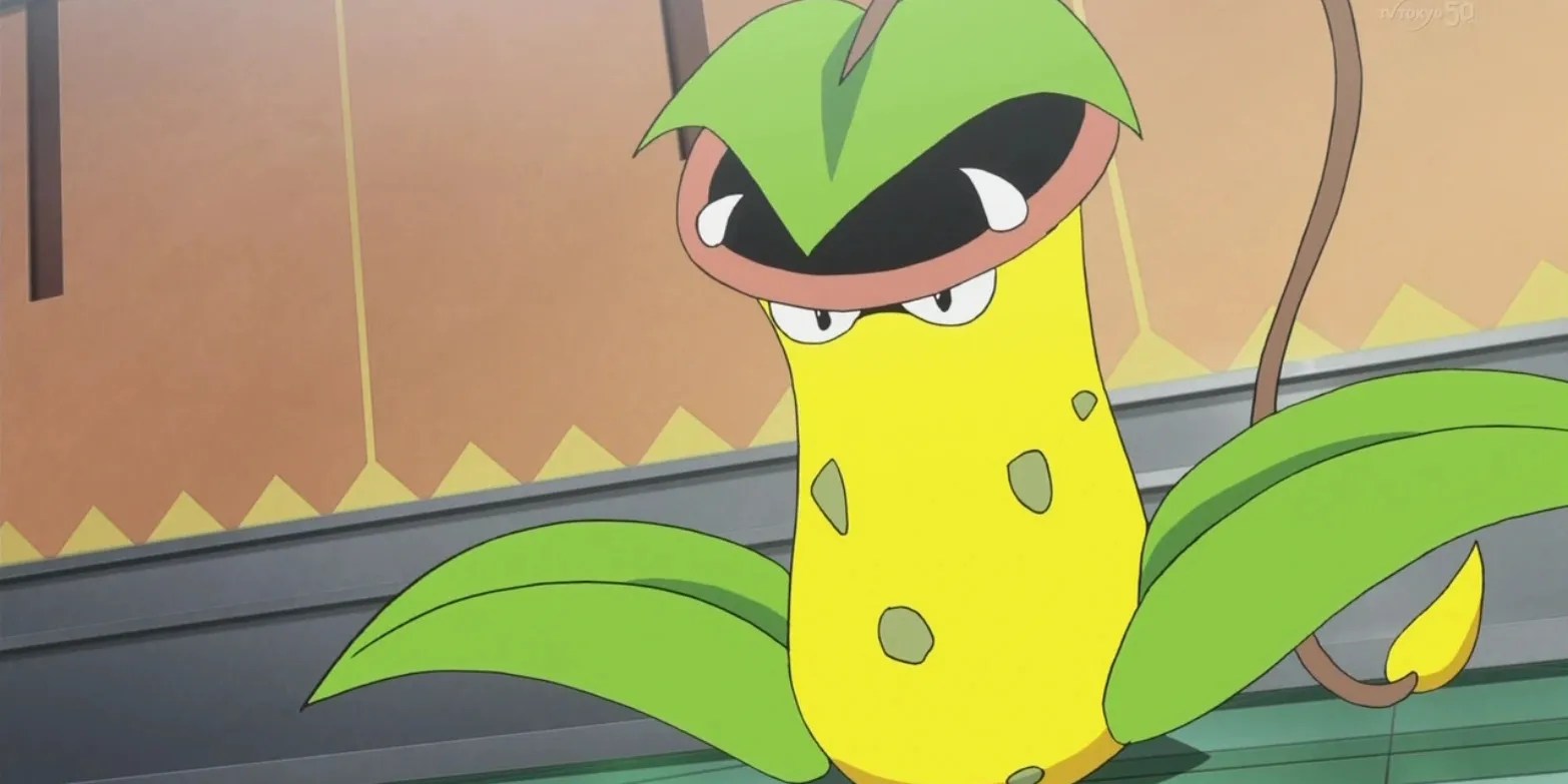 The 20 Best Pokemon For Sun Teams