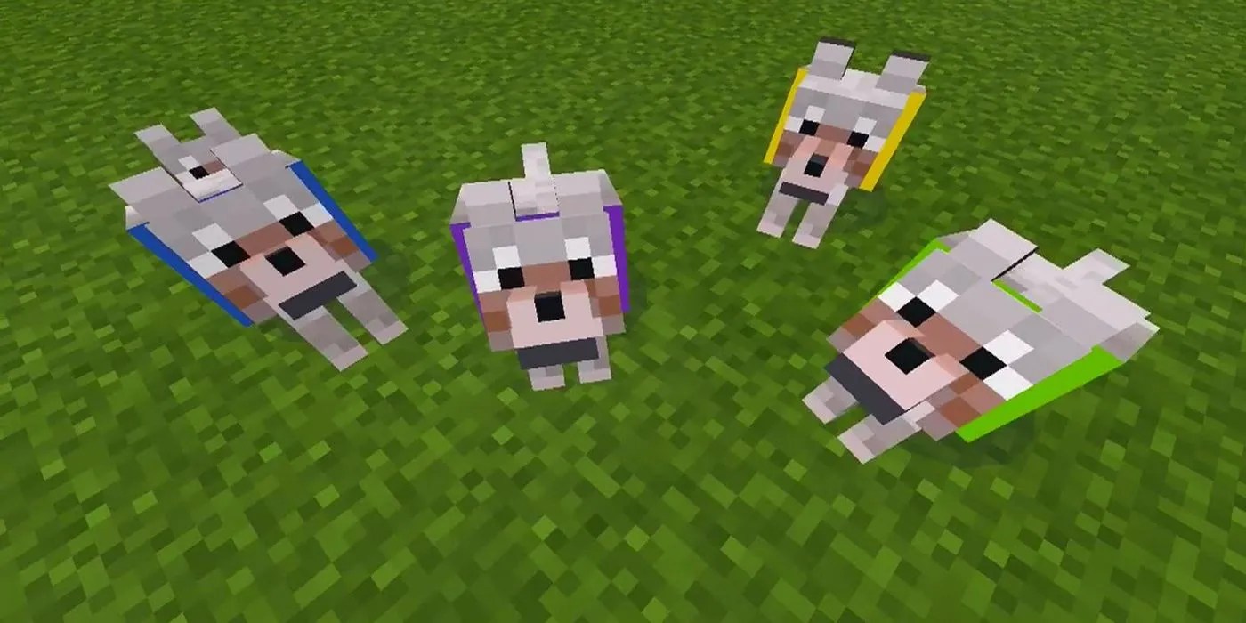 Minecraft 10 Things You Didn't Know About Wolves