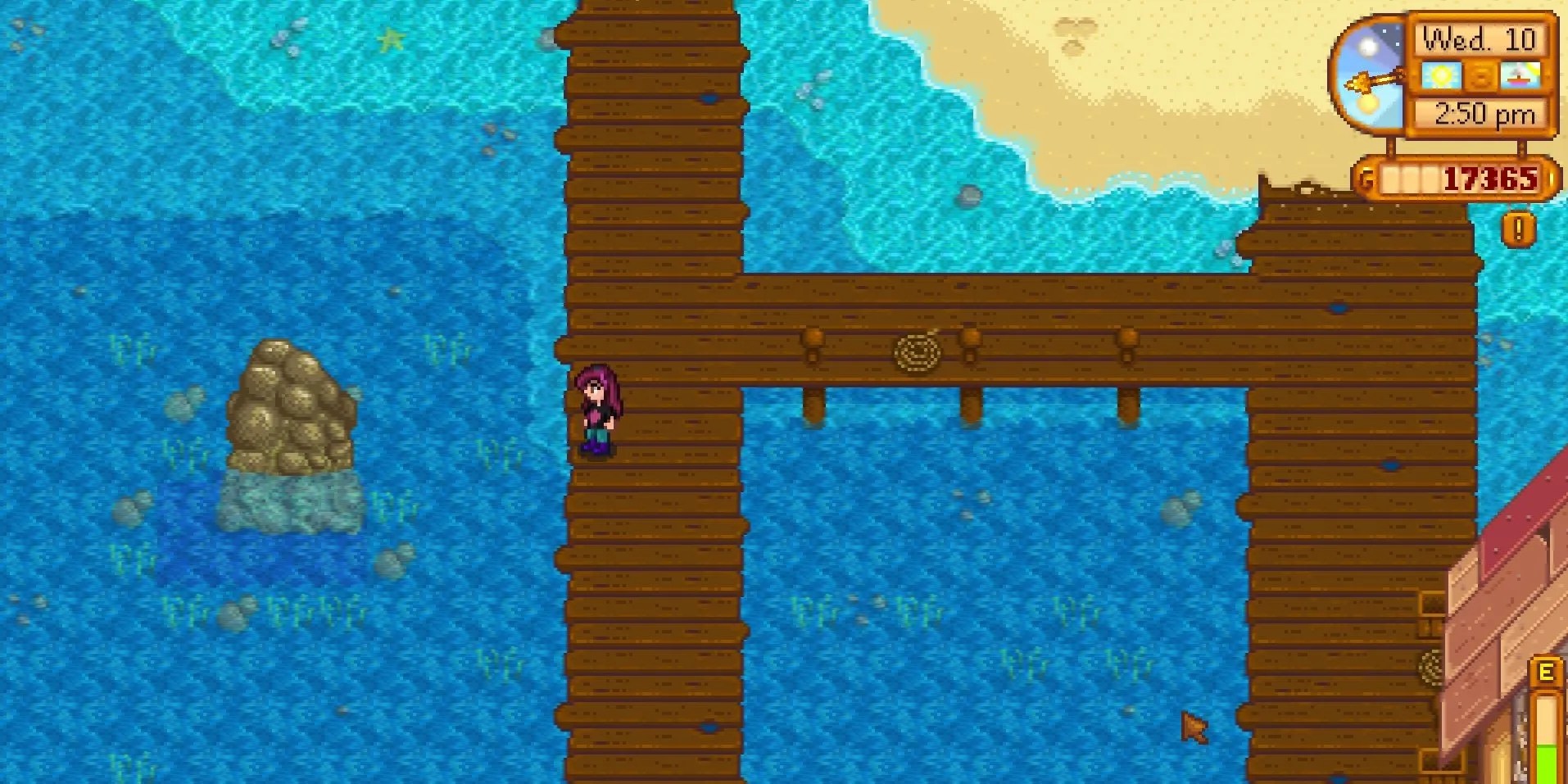 Stardew Valley All Secret Places at Karen Caesar blog