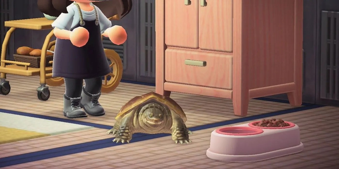 Animal Crossing 10 Animals We Wish There Were Villagers Based On