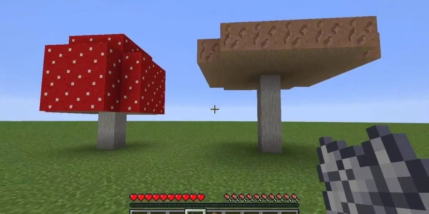 Minecraft Everything You Need To Know To Grow Mushrooms