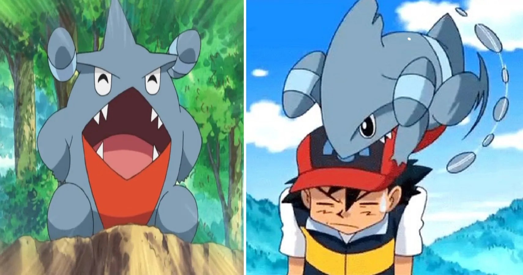 Pokémon What Level Does Gible Evolve (& 9 Other Things You Didn't Know About The Pokémon)