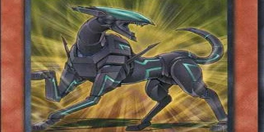 YuGiOh! GX A Step By Step Guide To Recreating Jaden's Deck