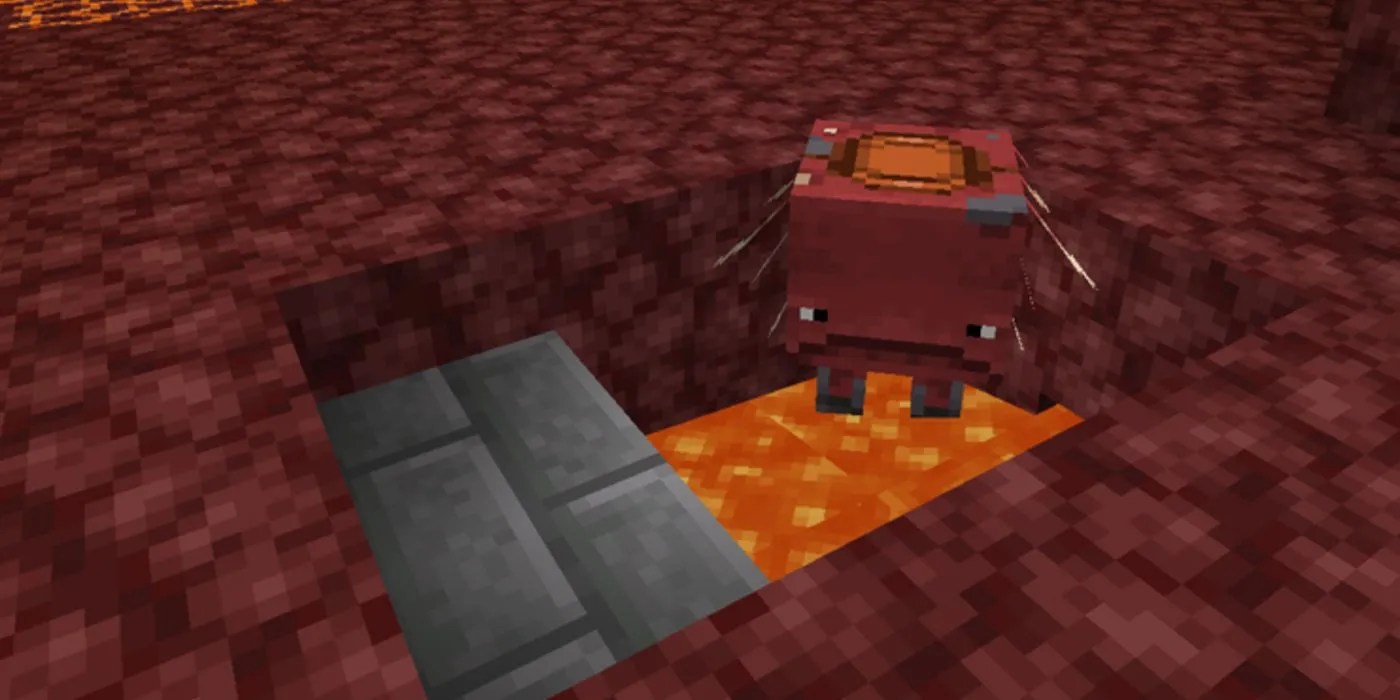 Minecraft 10 Things You Didn't Know About Striders