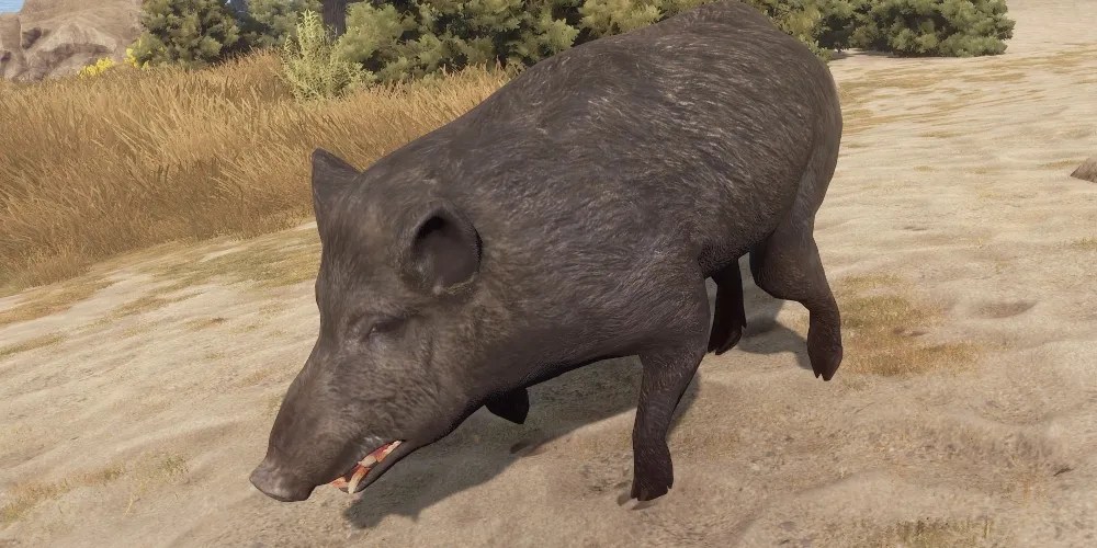Rust Every Animal Ranked By How Dangerous They Are (And What Items