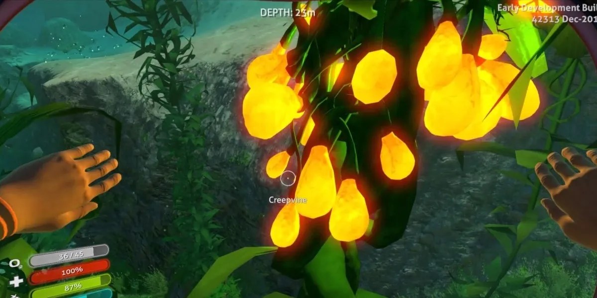 Subnautica The Basic Supplies And How To Get Them