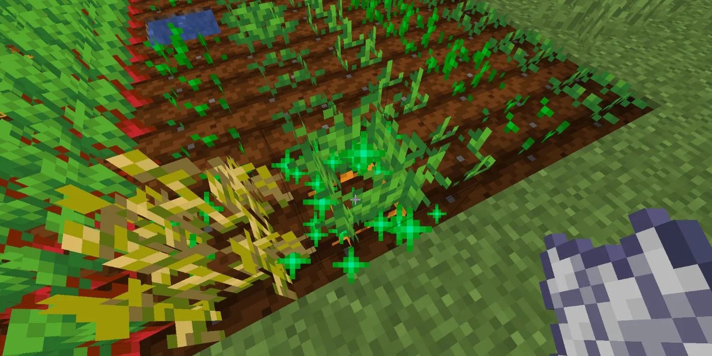 Minecraft Everything You Need To Know About Growing Crops