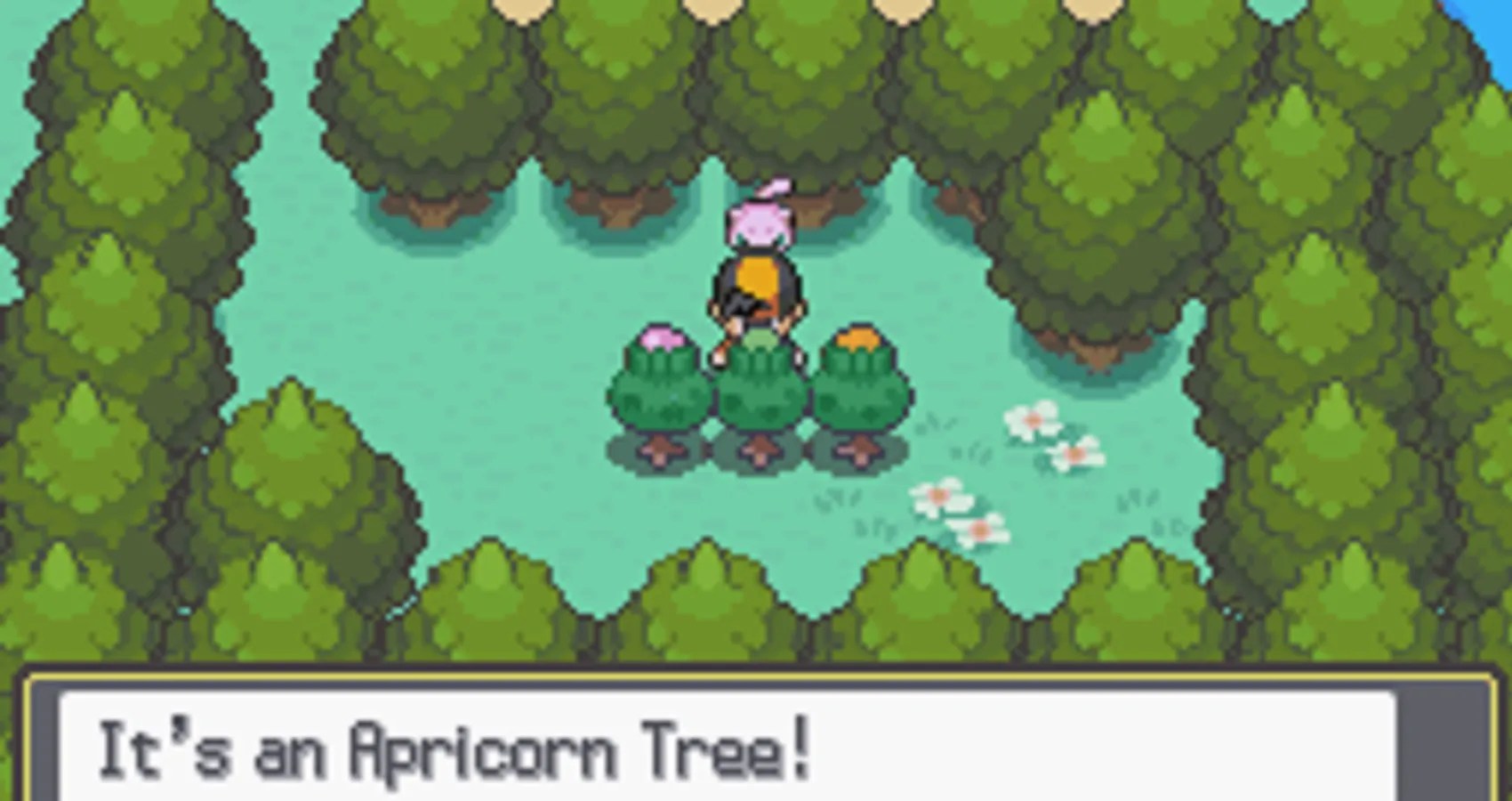 Apricorns Represent The Best Of Pokemon, And They Need To Come Back