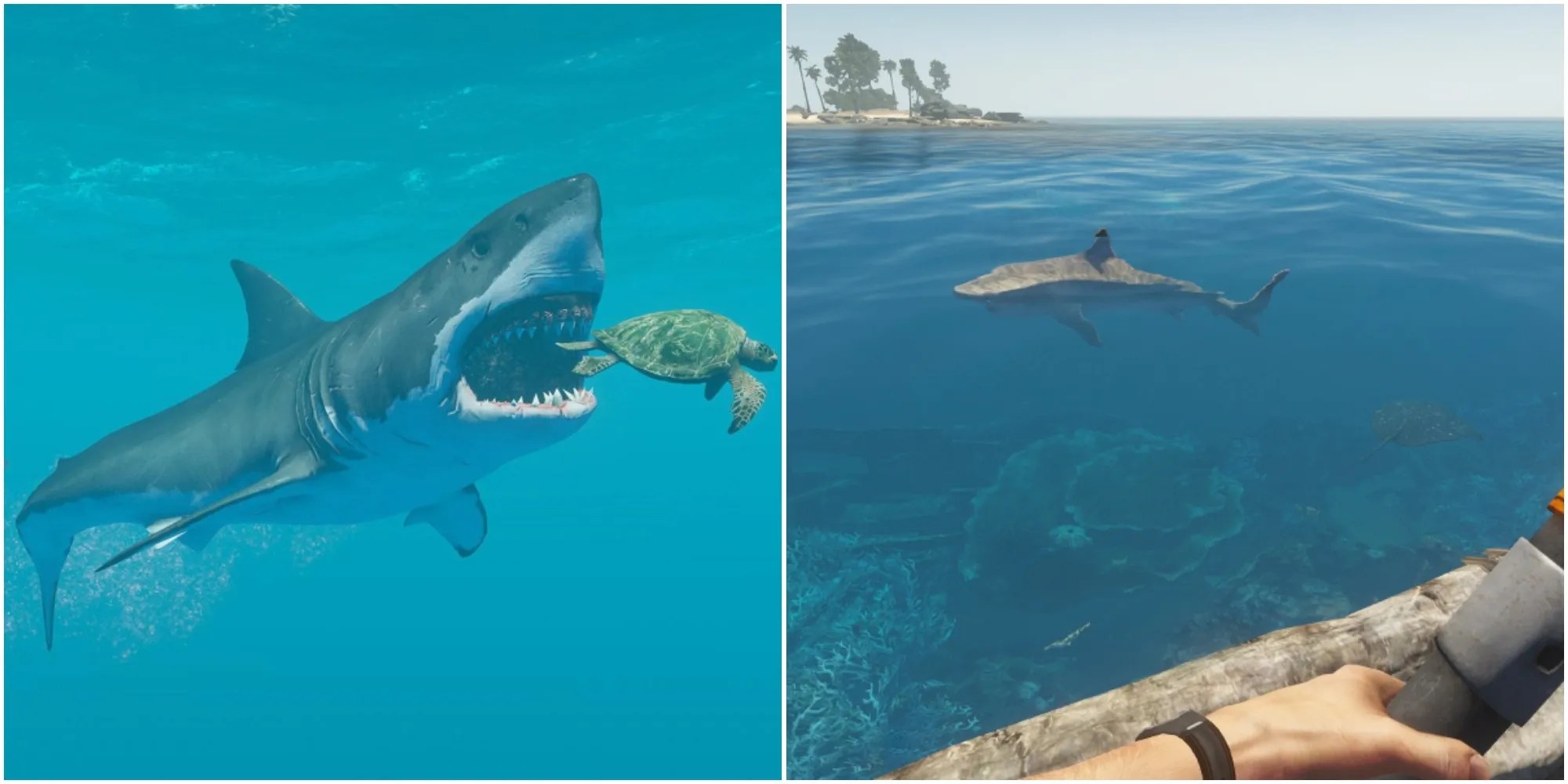 Stranded Deep Every Shark And Where To Find Them