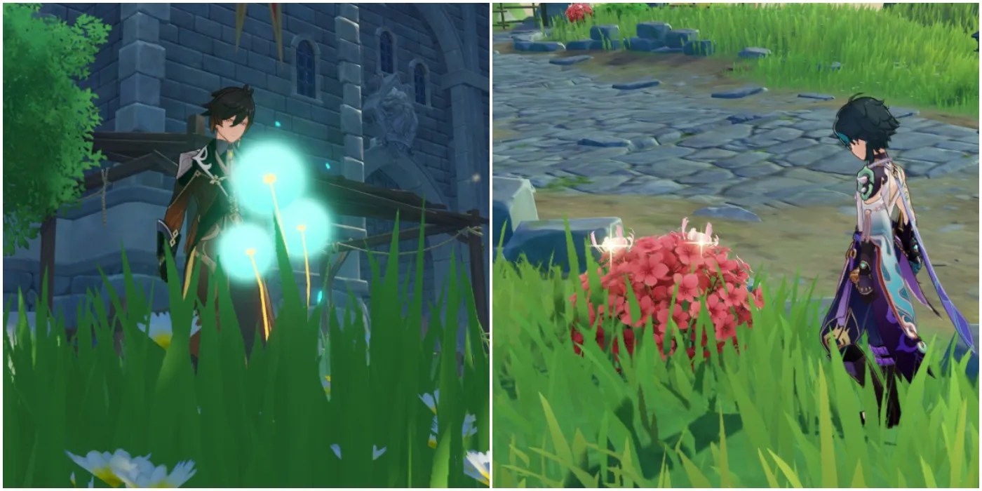 Genshin Impact The 10 Best Plants To Forage