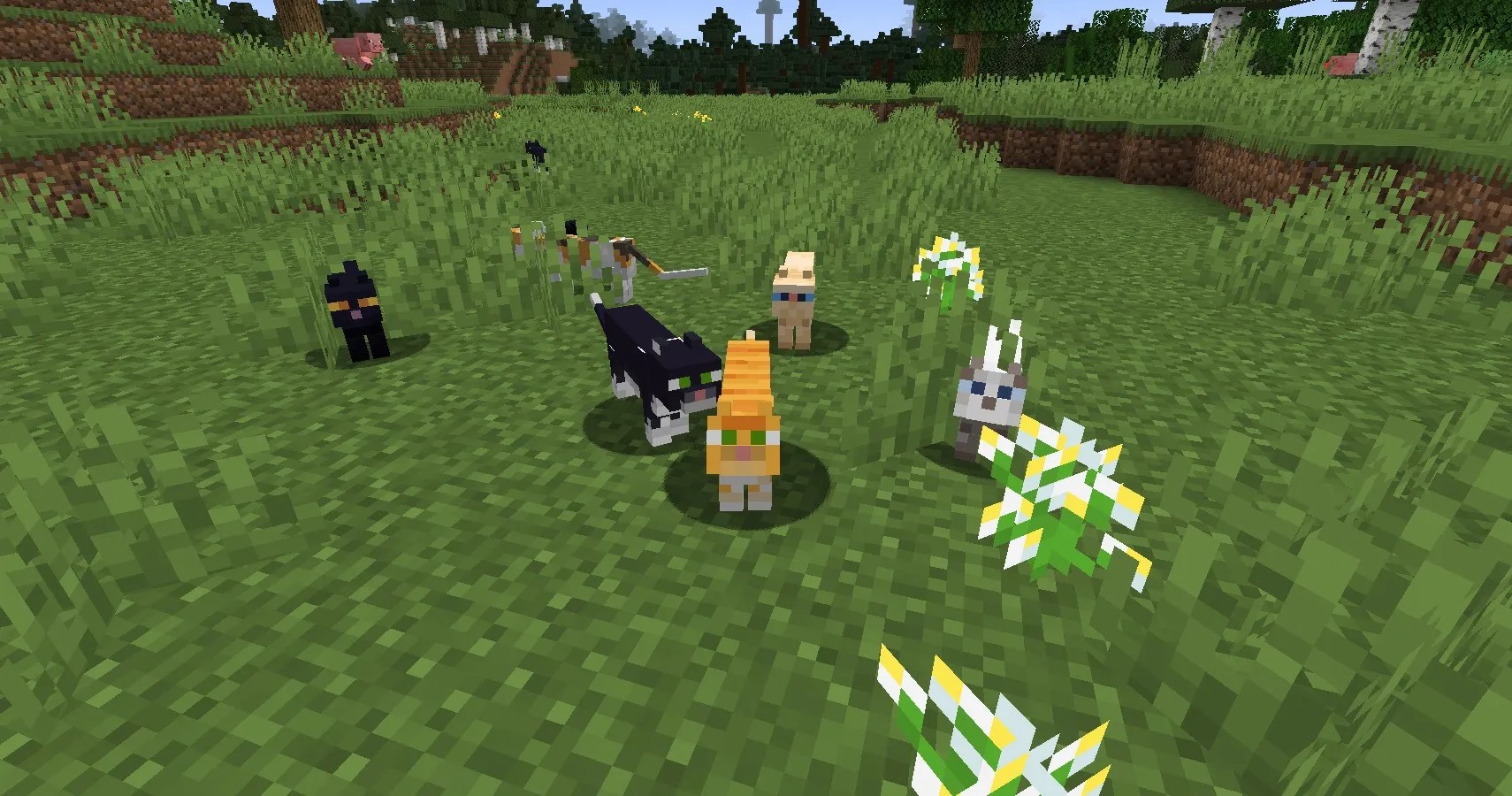 Minecraft Everything You Need To Know About Phantoms