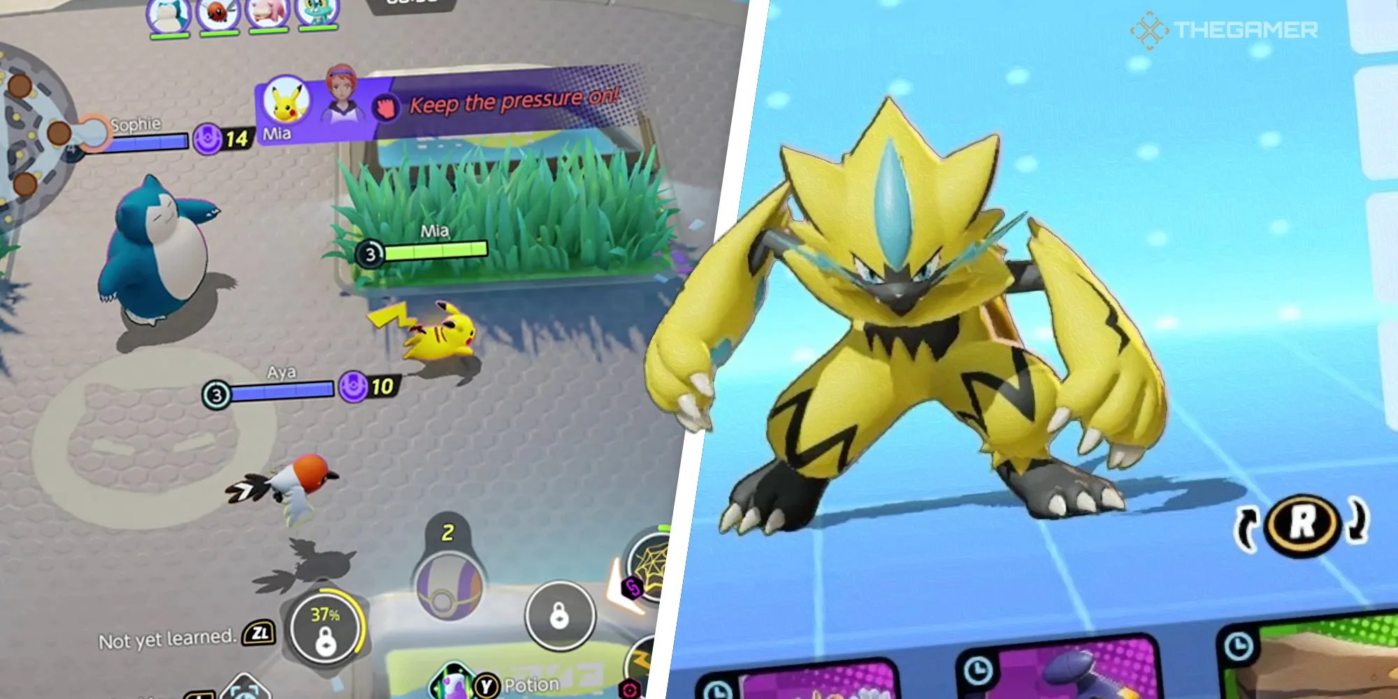 Pokemon Unite Zeraora Build Guide